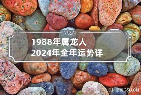 2024龍年運程1988男|1988年属龙人2024年本命年运势及运程详解 88年出。